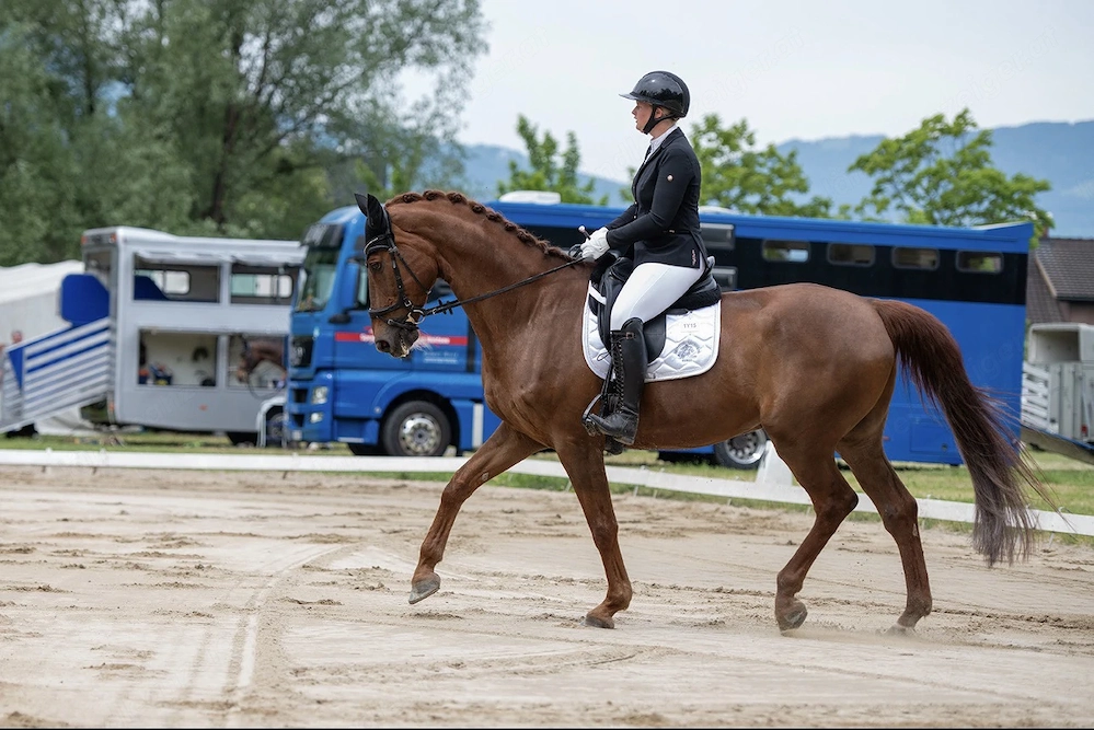 Reitbeteiligung