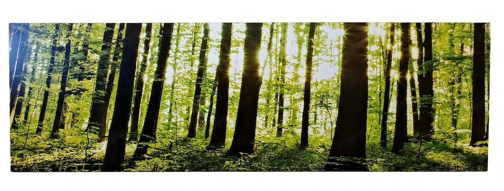 Waldbild 180 x 59 cm auf Möbelplatte (1,6 cm)