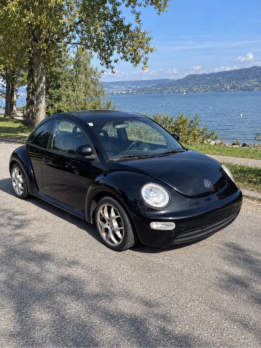  VW New Beetle 2.0  116 PS  Leder Pickerl NEU
