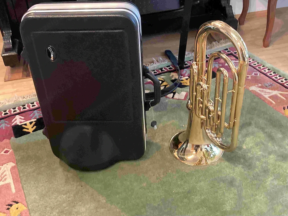 Zu Verkaufen Blasinstrument