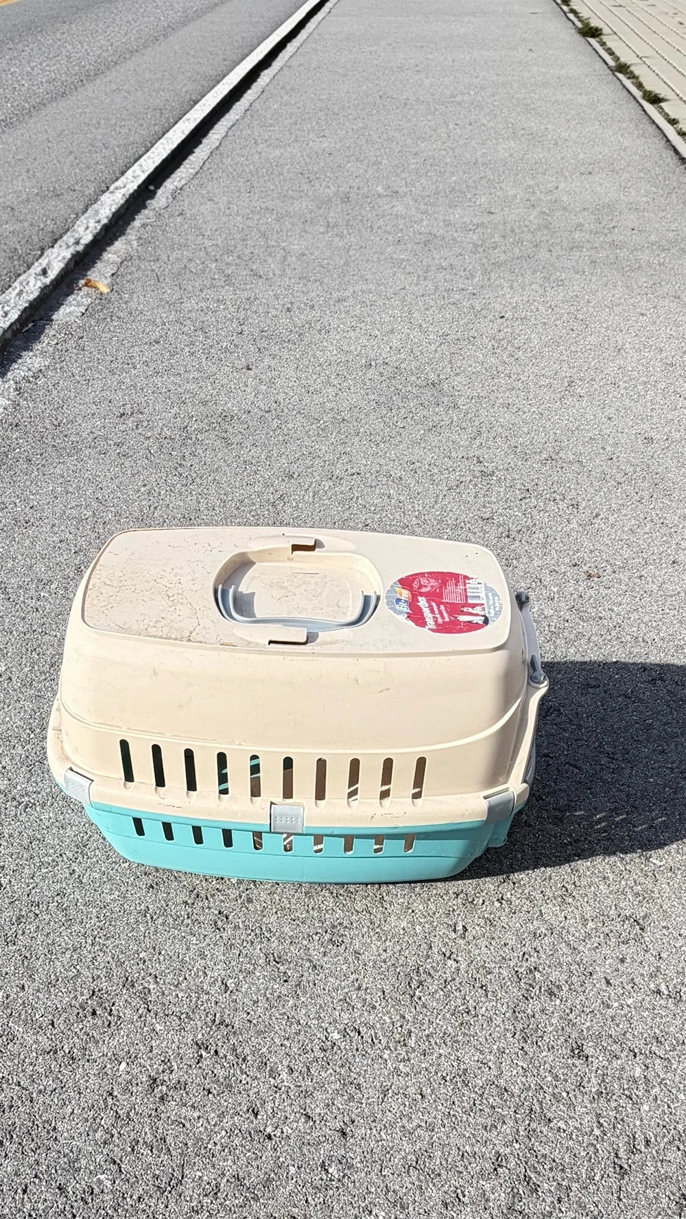 Katzen BOX