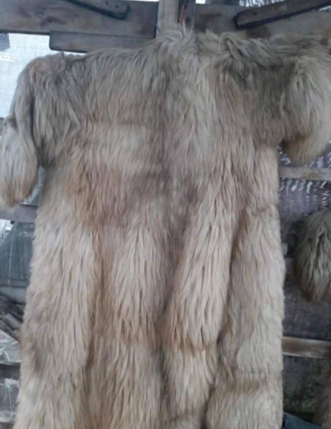 Krampus Perchten Kostüm Komplett Set (Fell Anzug+Maske+Gürtel)