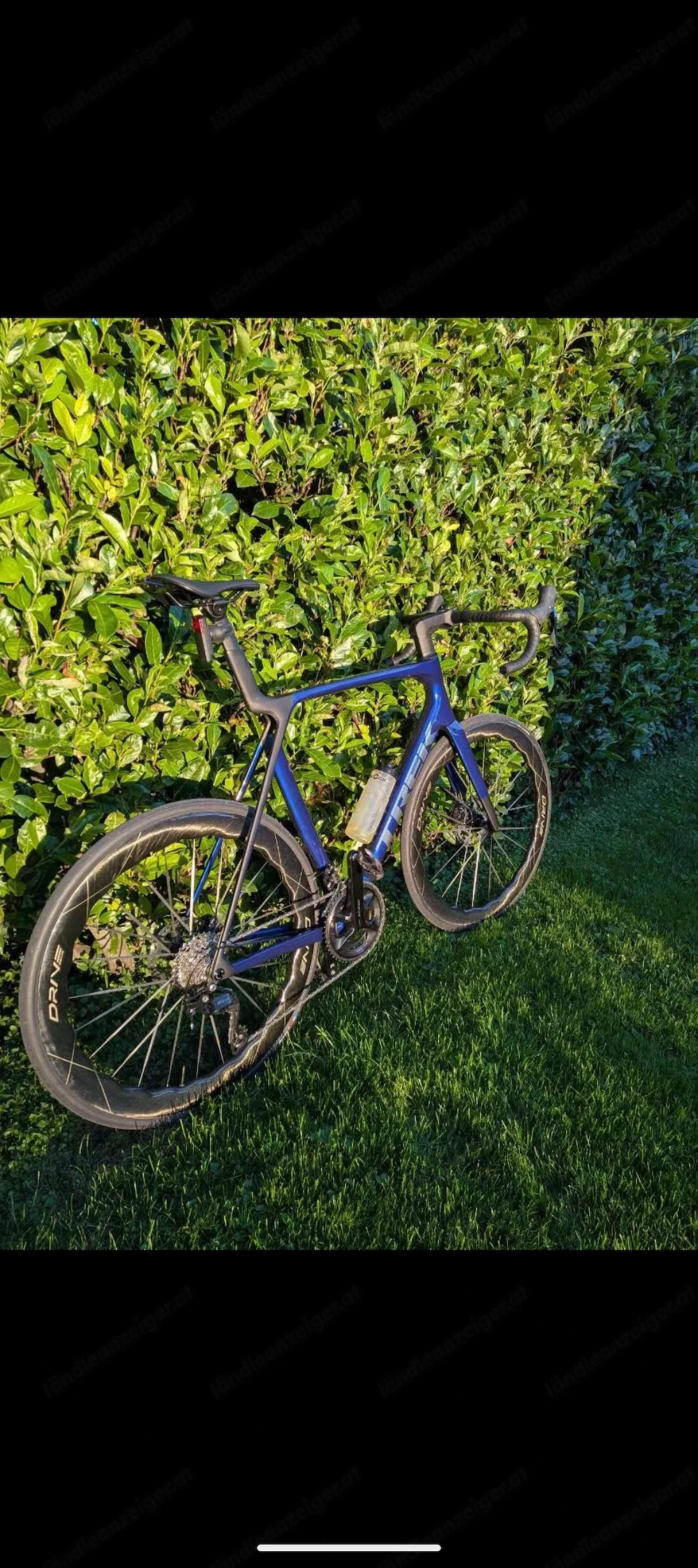 Trek Madone Rennrad 2025