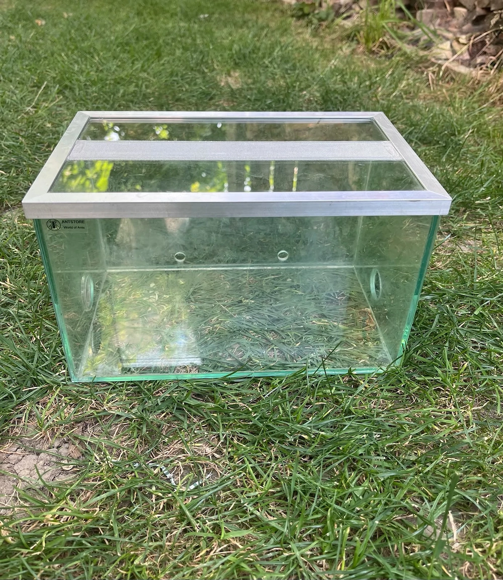 Formicarium Set aus Glas