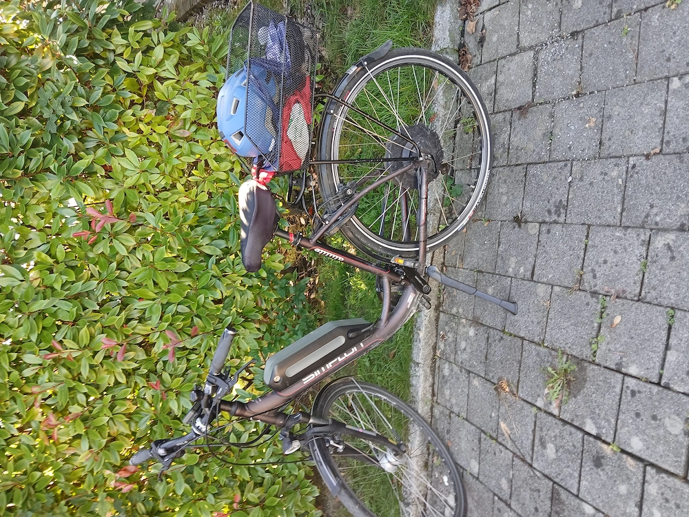 Simplon E-Bike Niedereinstieg