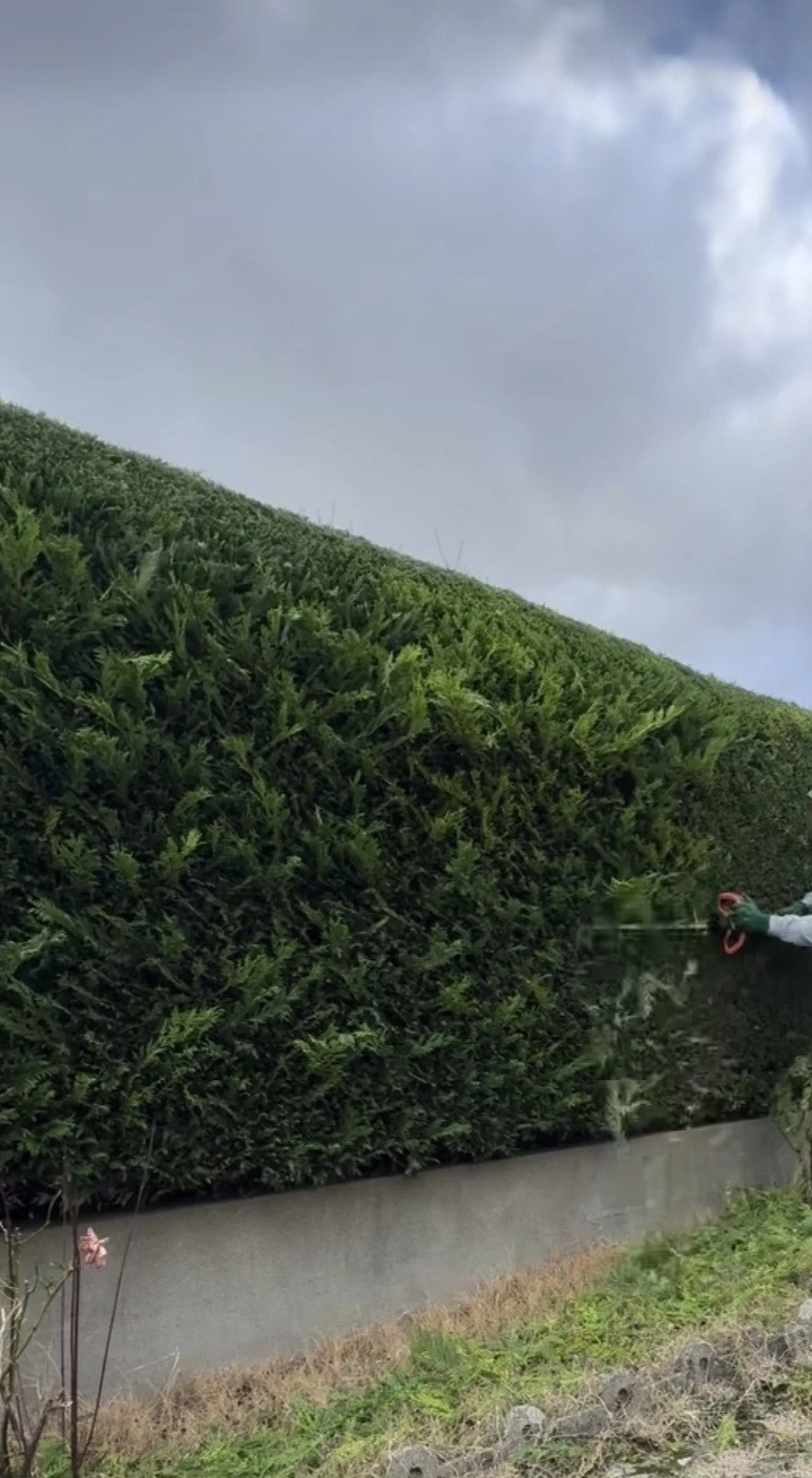 Gartenarbeiten