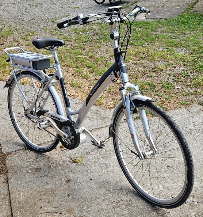E-Bike Wellbike fast neu