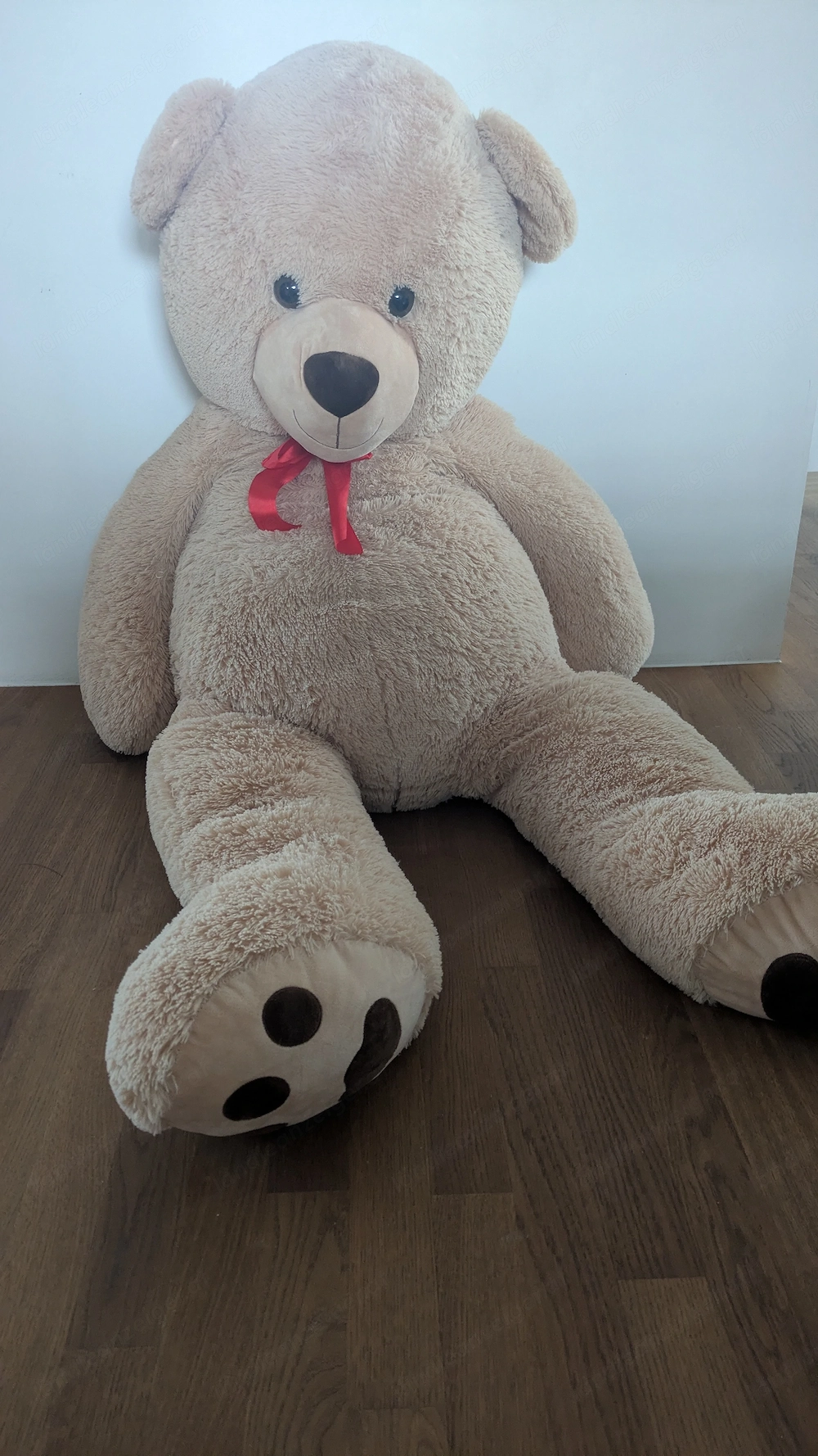 Teddy Bär groß