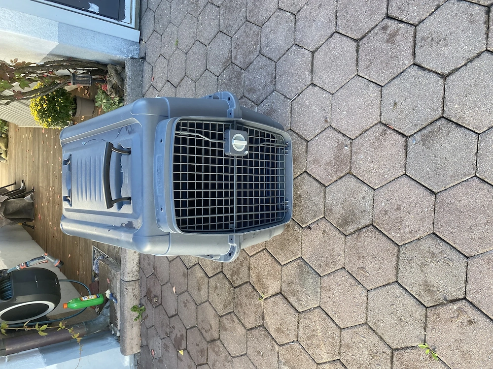 Hundebox groß kaum gebraucht wie neu
