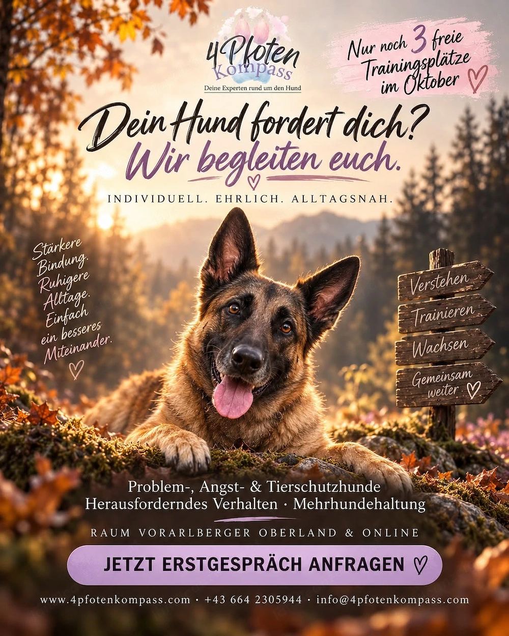 Hundetraining in Vorarlberg   Wenn der Alltag mit deinem Hund zur Herausforderung wird