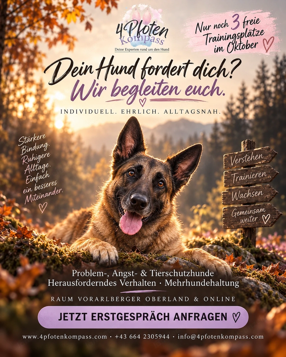 Hundetraining in Vorarlberg   Wenn der Alltag mit deinem Hund zur Herausforderung wird