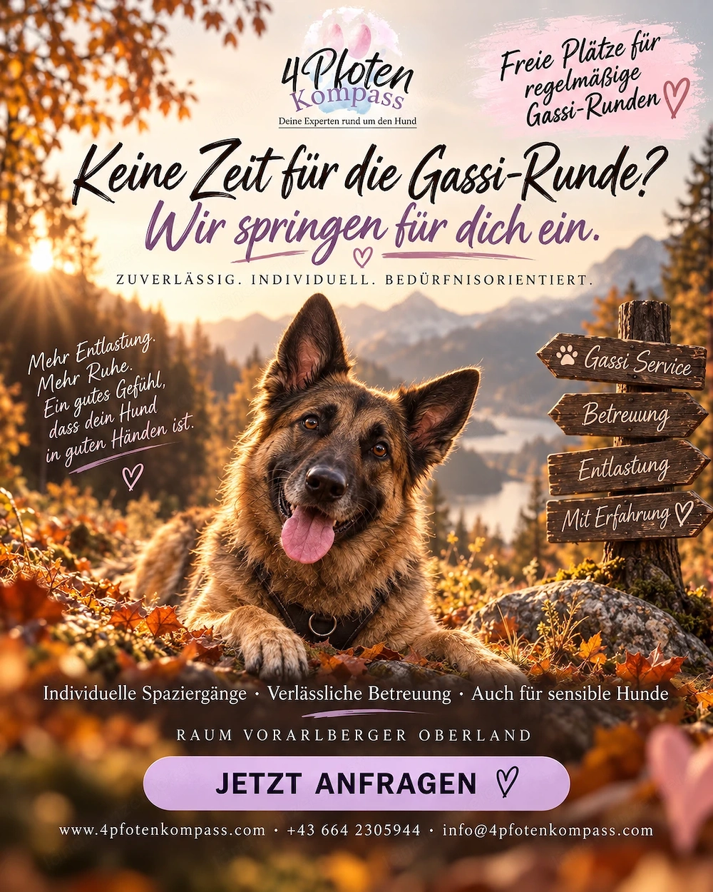 Gassi-Service in Vorarlberg   Liebevolle & zuverlässige Hundebetreuung