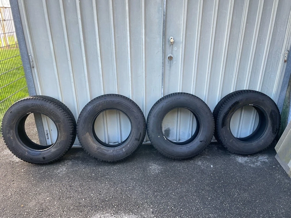 Winterreifen Bridgestone Blizzak DM-V3