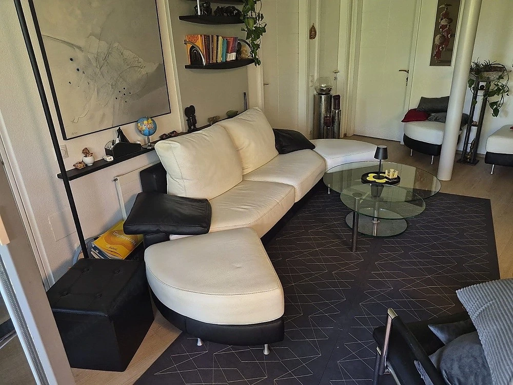 Designercouch Leder