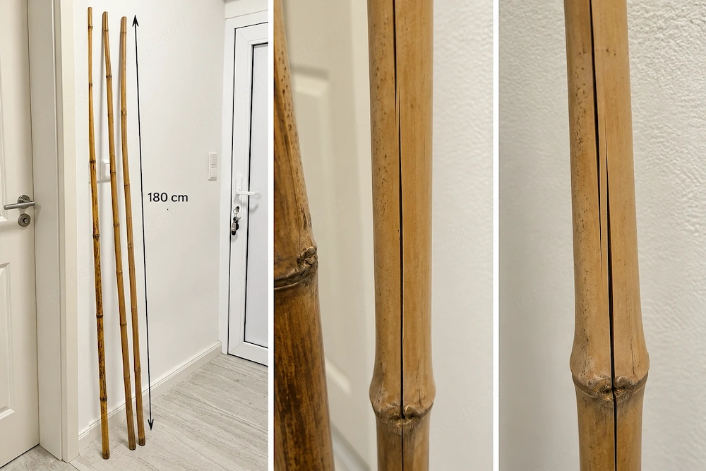 3 Bambus-Pflanzstäbe   180 cm   gebraucht