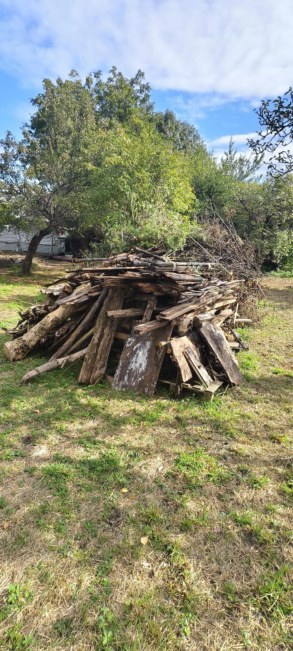 Altes Holz lustenau
