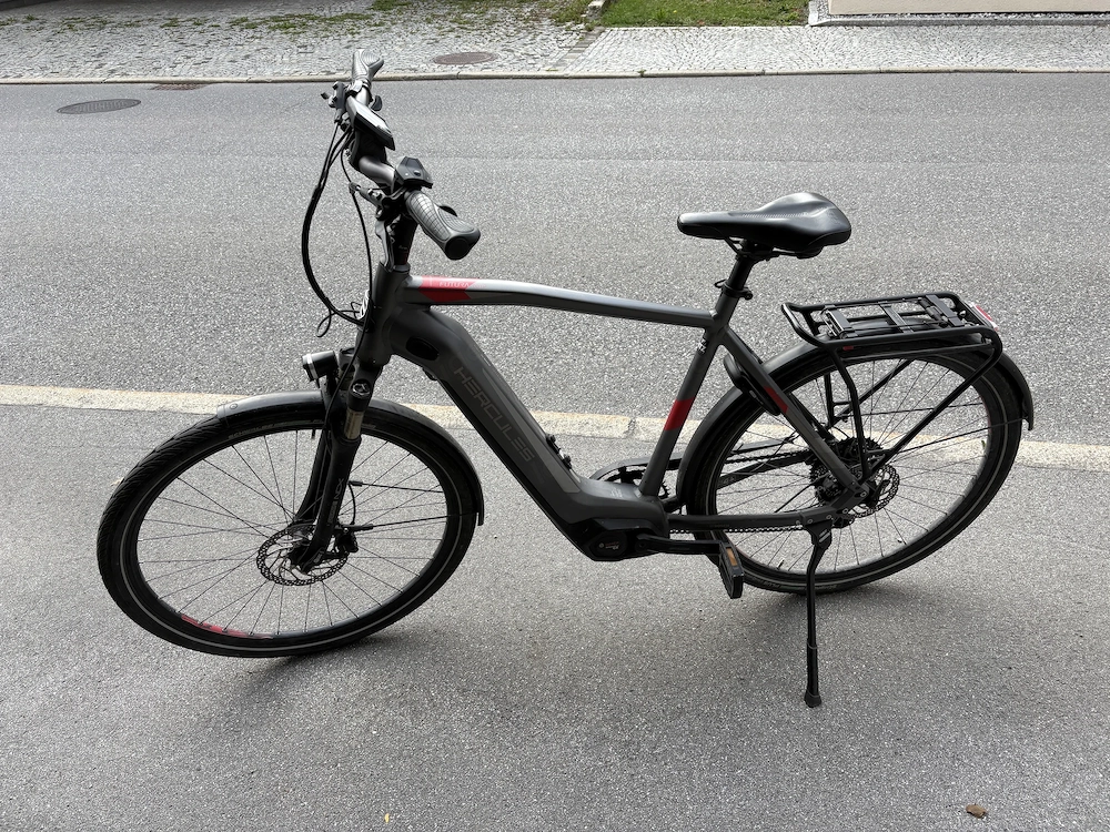 Herren Treking ebike