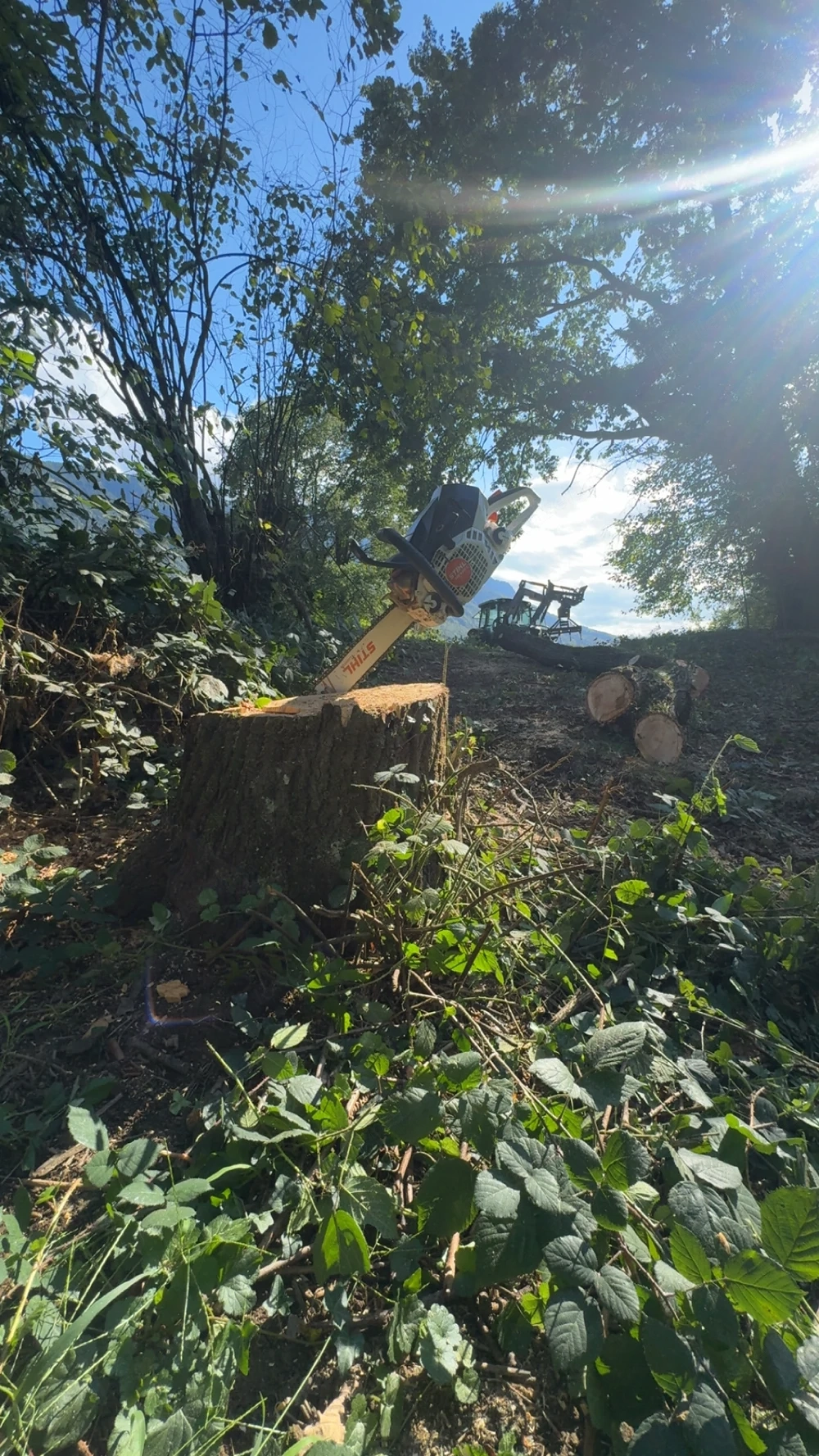 Arbeiten rund um Forst und Garten