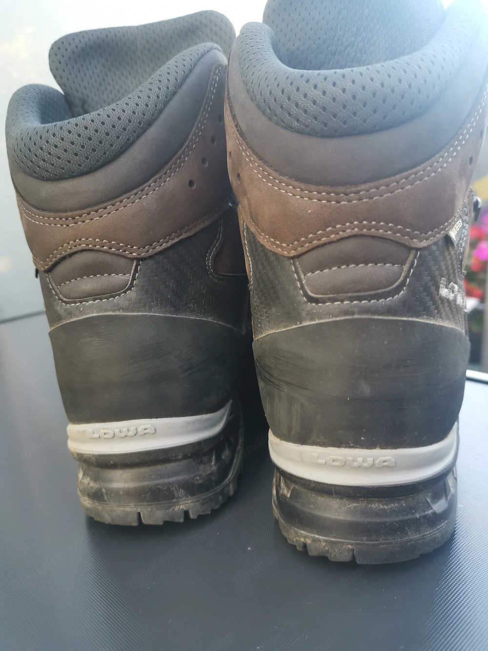 Lowa camino gtx+w 7 41