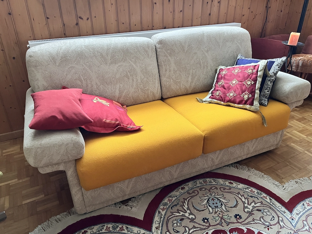 Bequemes Züco-Sofa 