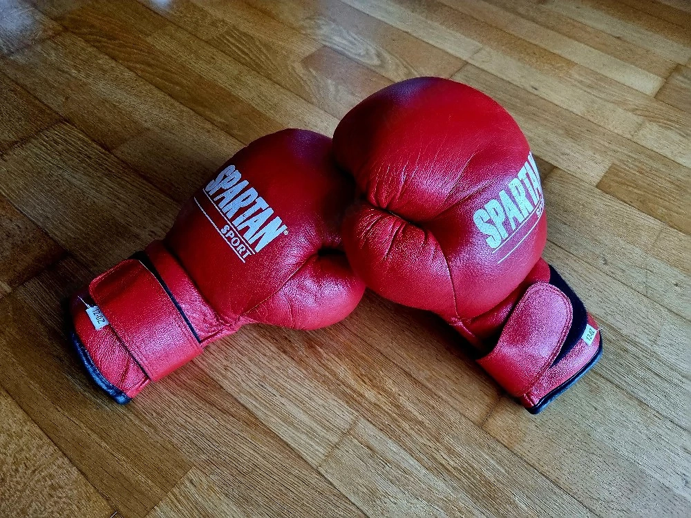 Boxhandschuhe für Kinder Jugendliche 