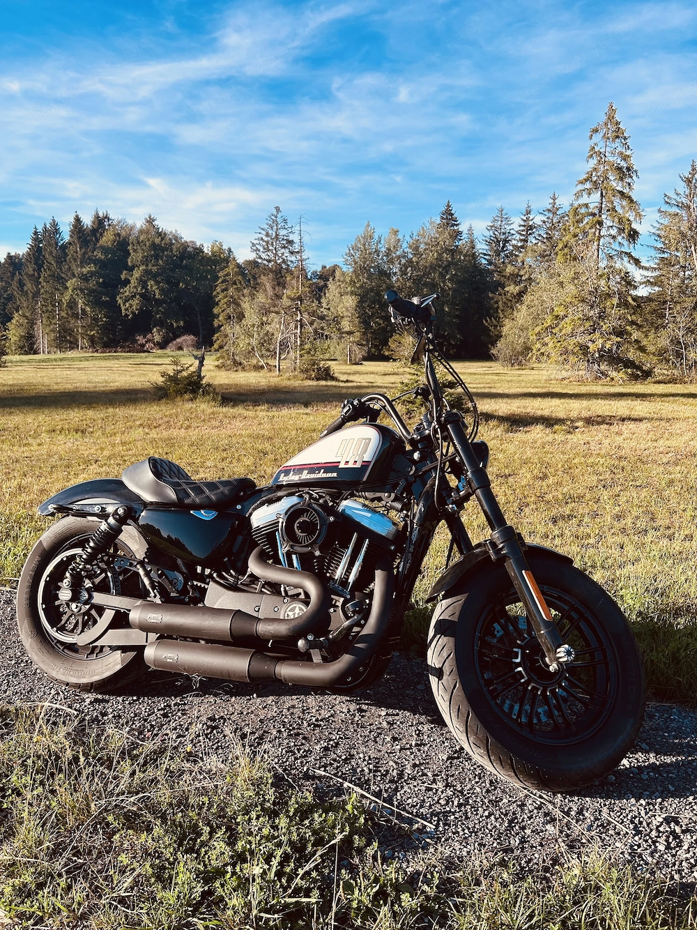 Harley Davidson Sportster 12000 Forty-Eight