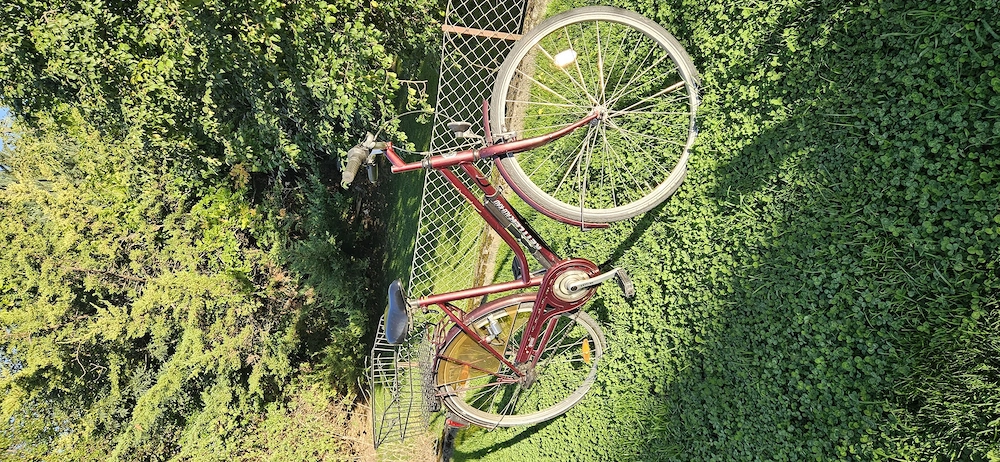 Damenfahrrad Kettler