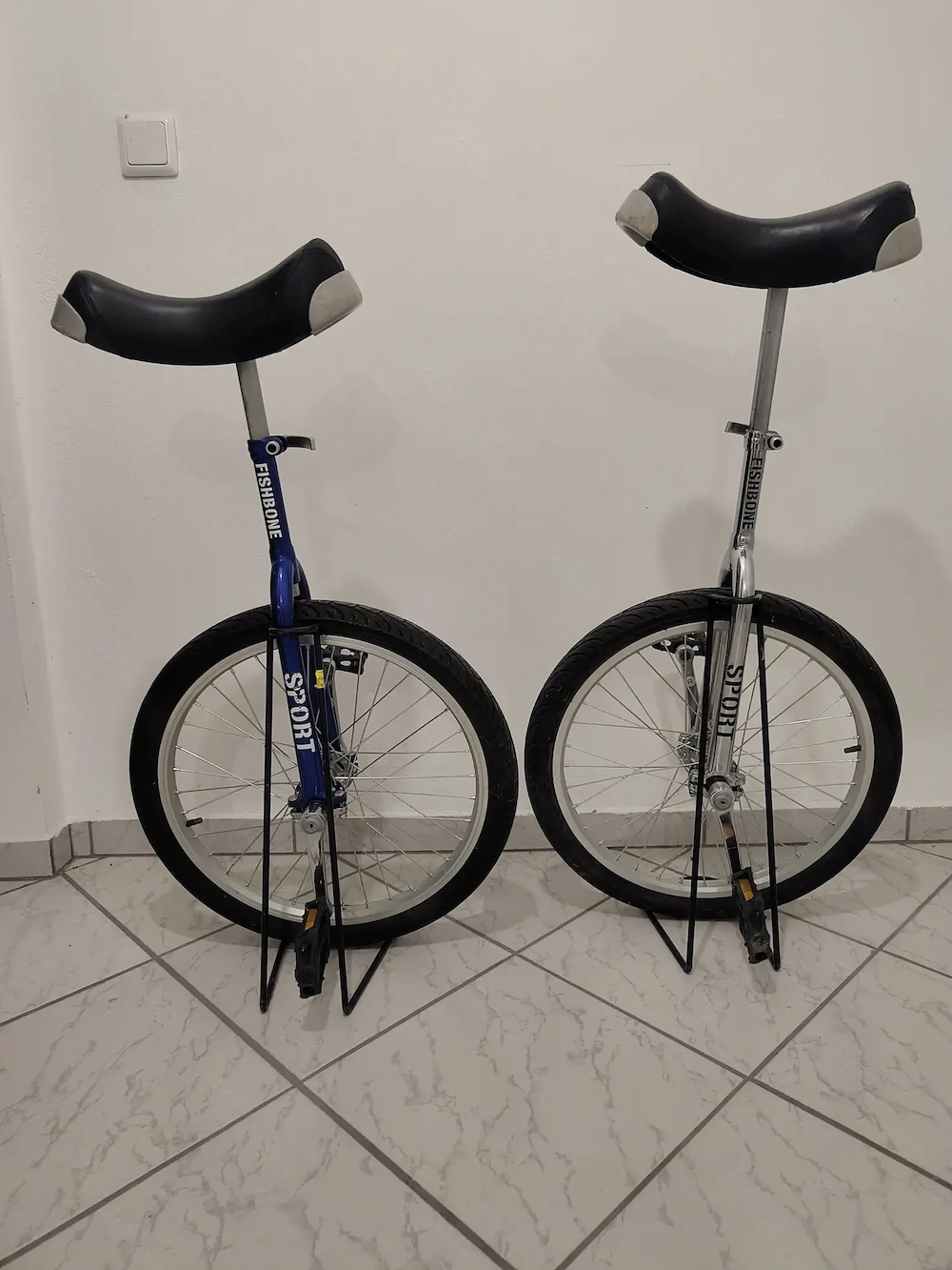 Einrad Fishbone 20 Zoll mit Ständer
