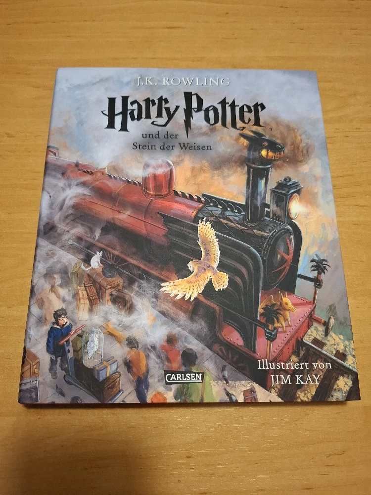 Buch - H.P. u. der Stein der Weisen