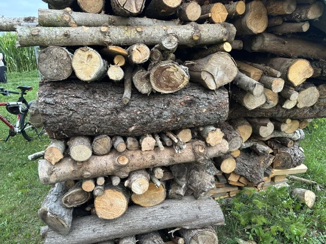 Brennholz - Weichholz, trocken