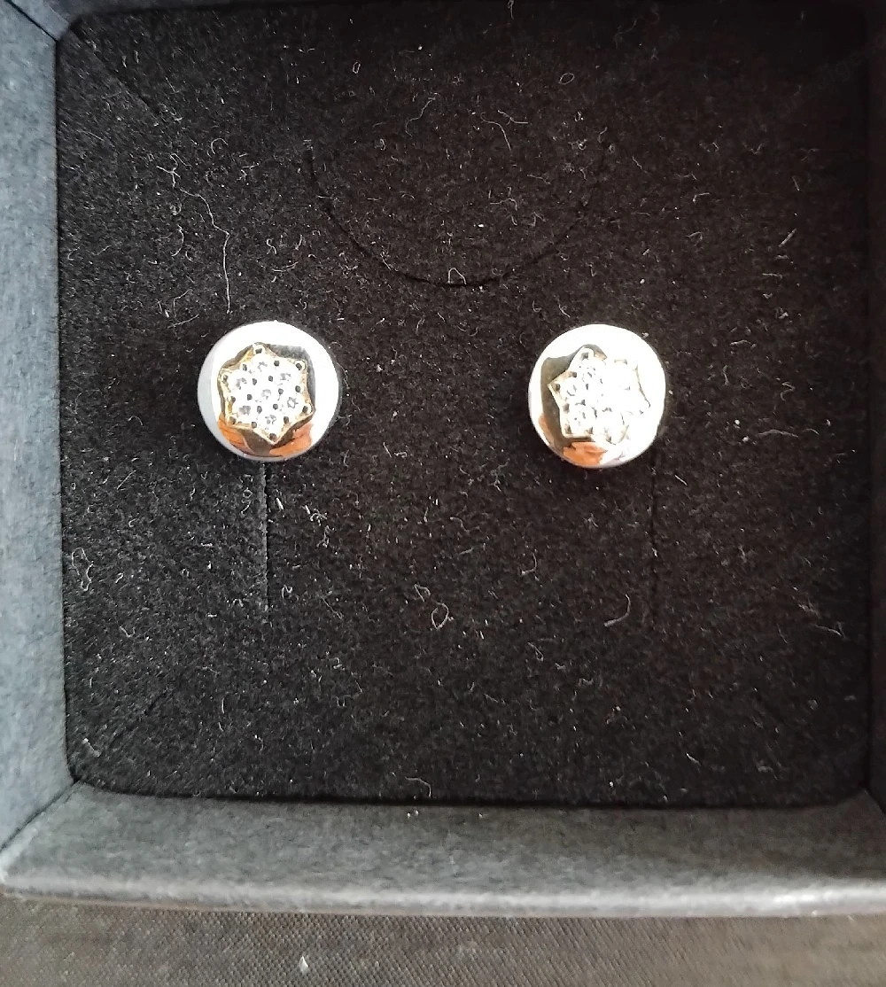 Ohrstecker 