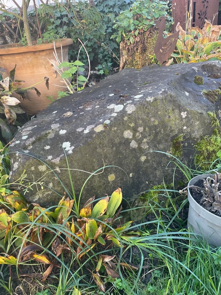Verschenke große Findlinge  Steine 