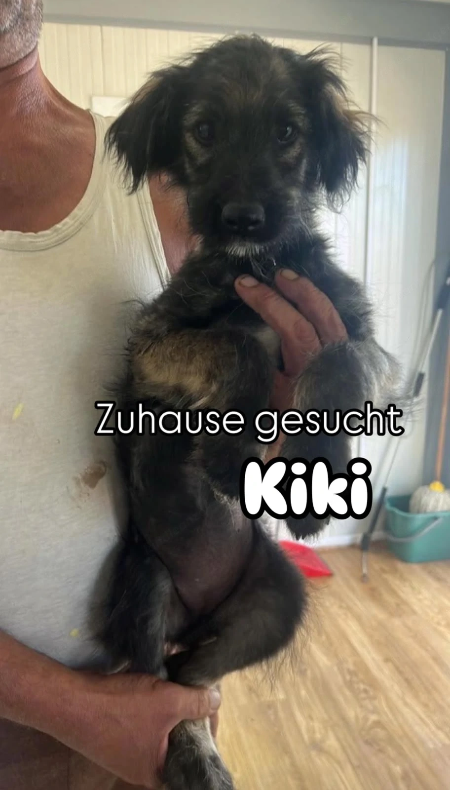Kiki - eine Streicheleinheiten Genieserin
