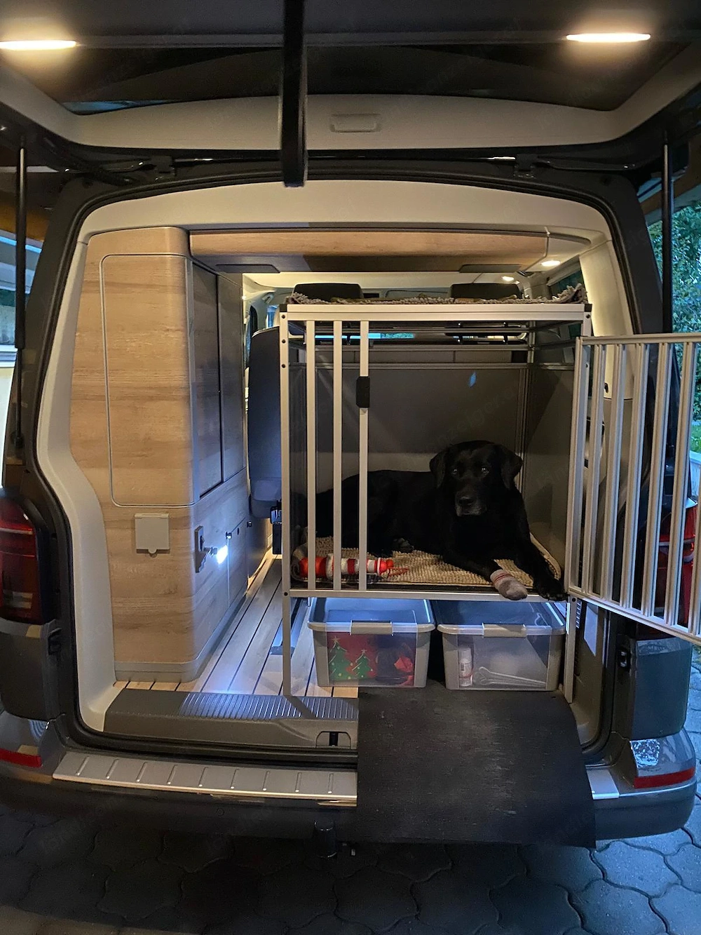 Hundebox, massgefertigt
