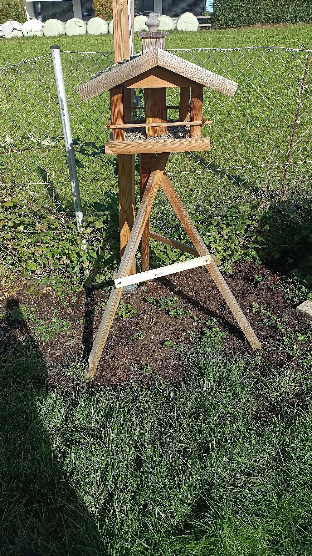 Vogelhäuschen 