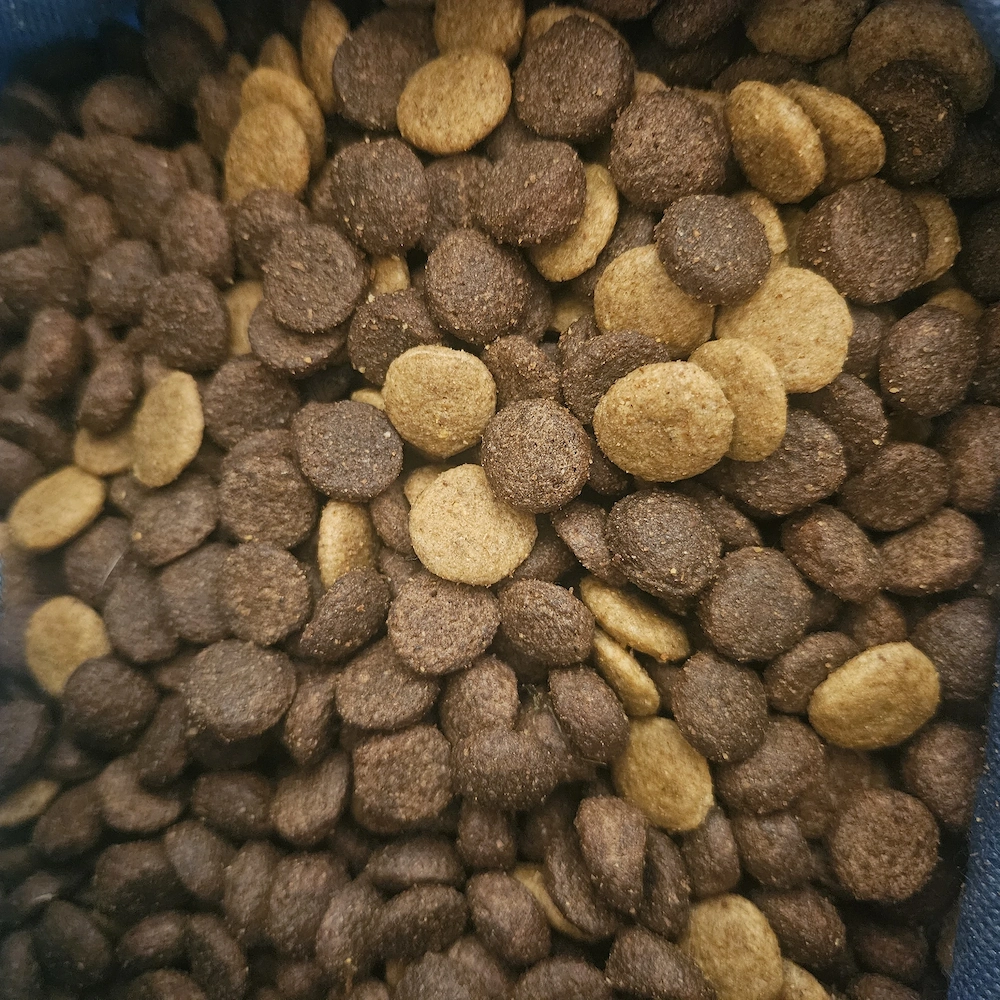 Hochwertiges Hundefutter