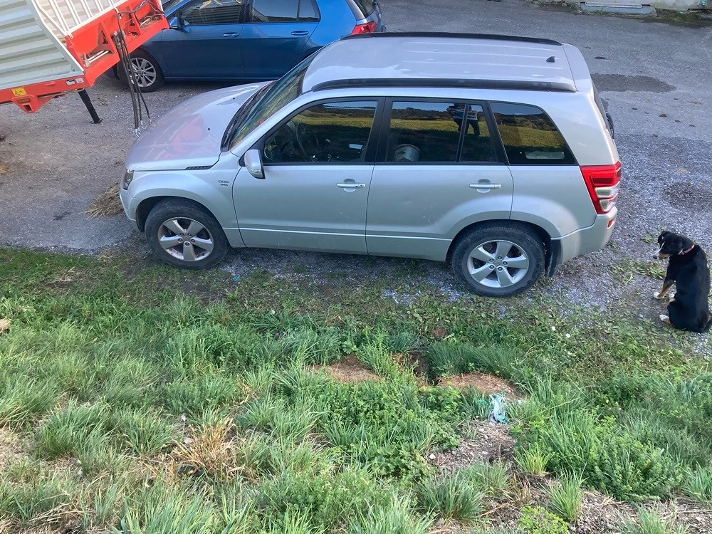 Suzuki Vitara