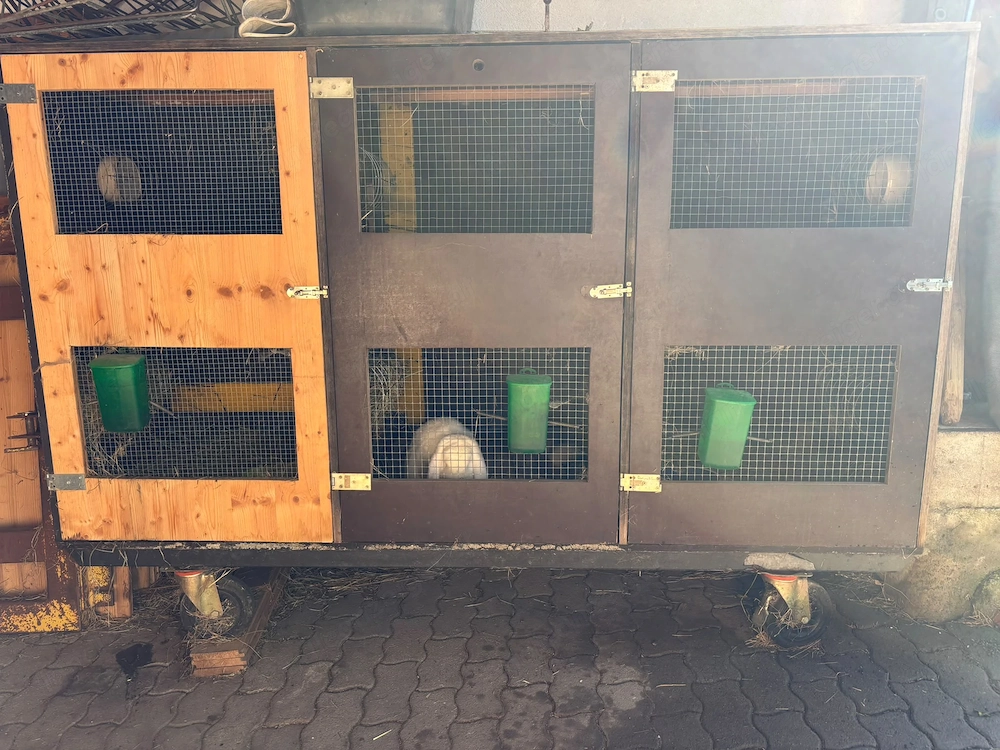 Hasenstall mit 6 Boxen
