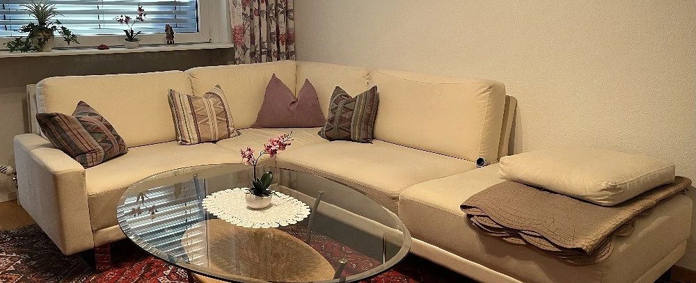 Sofa Marke Brühl 