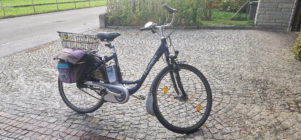 herren e bike