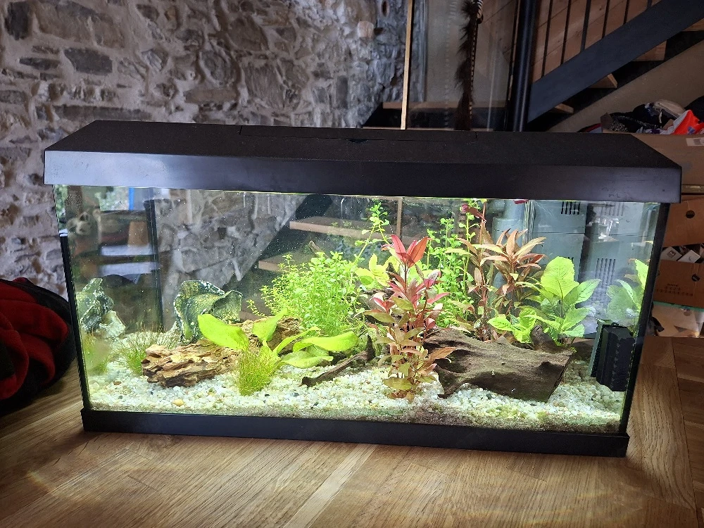 Aquarium 60l