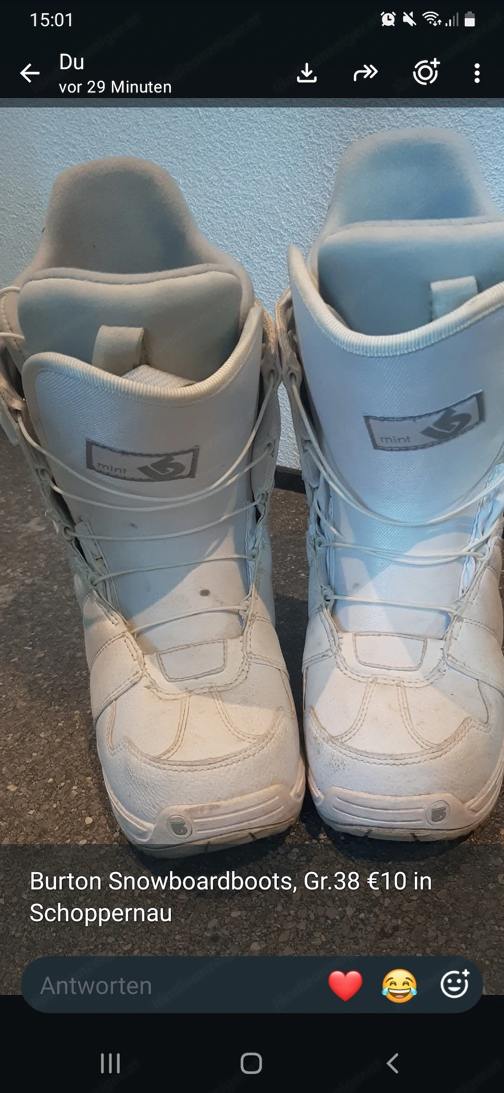 Snowboardboots von burton