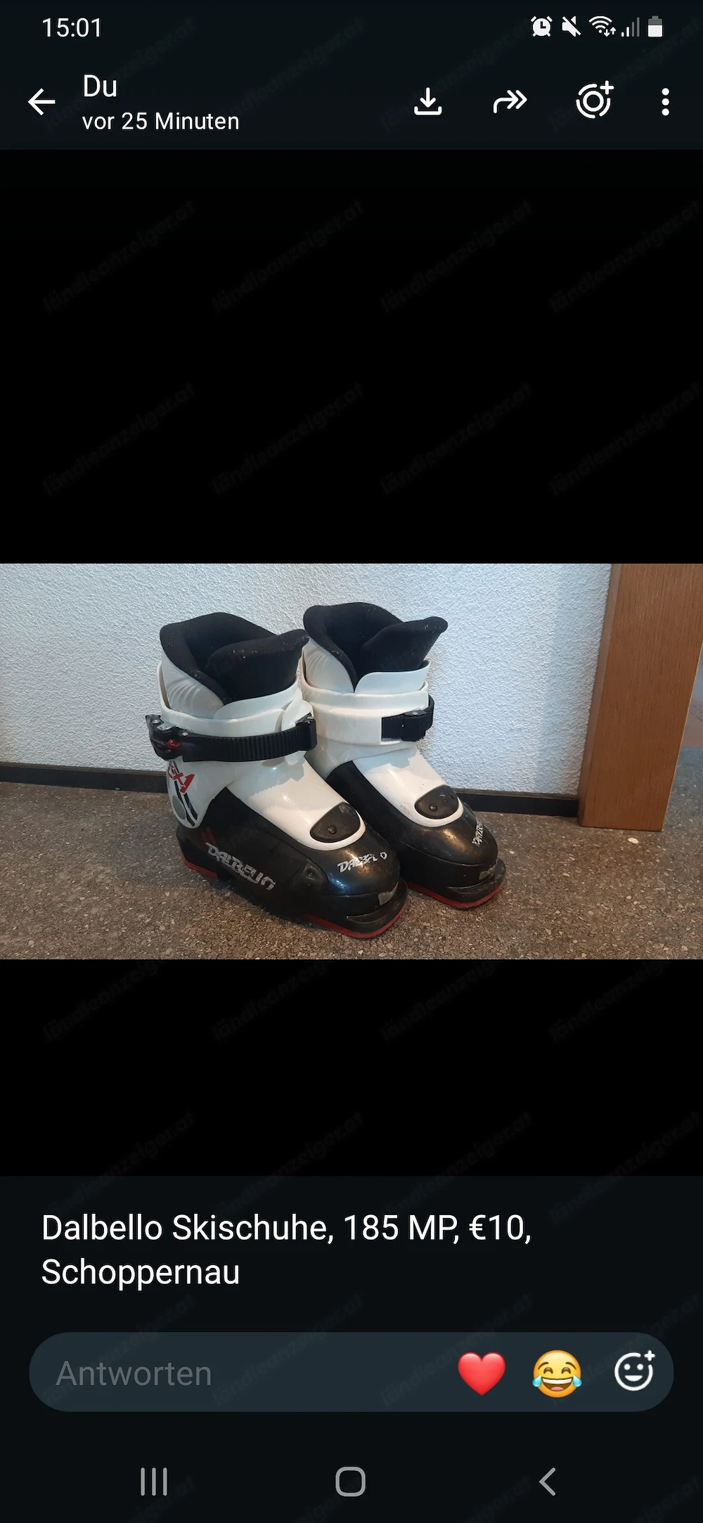 Skischuhe Dalbello