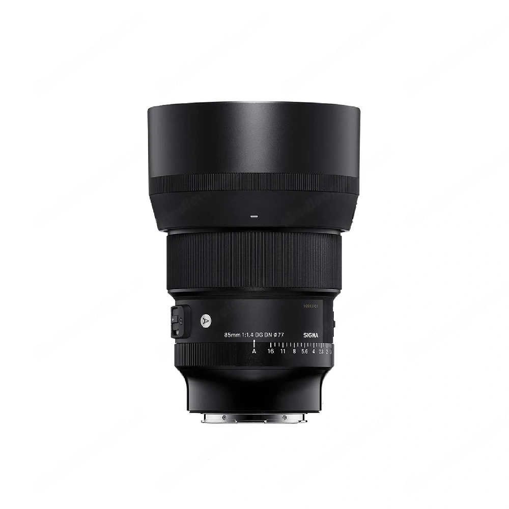 Sigma AF 85mm F1.4 DG
