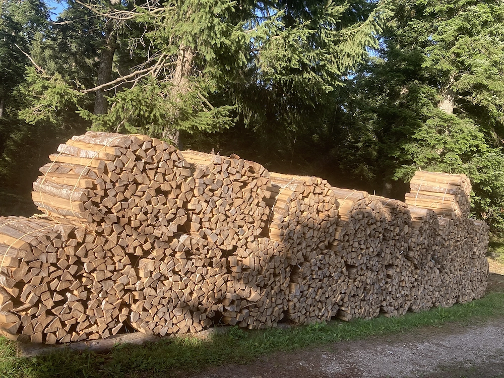 Brennholz, Ofenholz, Hartholz, Buchenholz, trocken