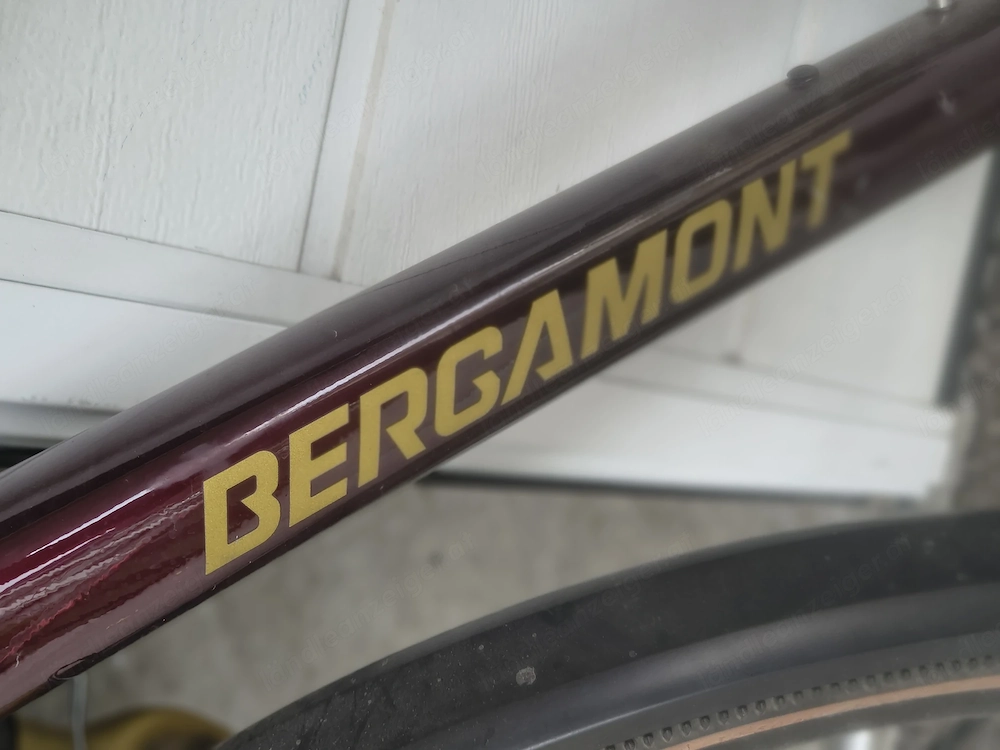Bergamont Herren Fahrrad 