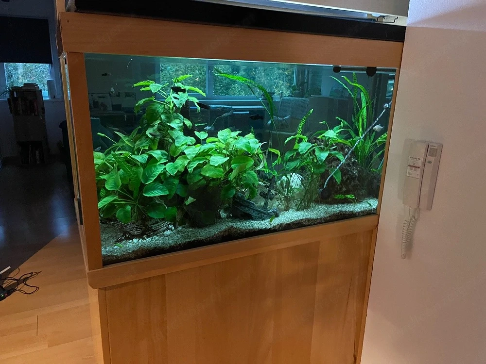 Aquarium komplett 