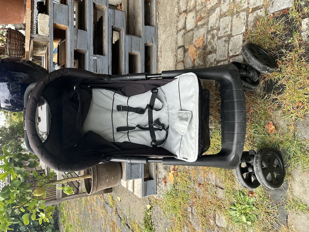 Buggy Hauck mit großem Gepäckfach