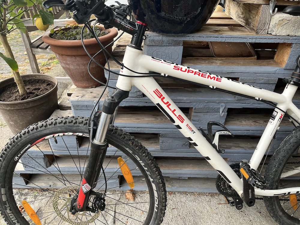 Mountainbike für Sportbegeisterte