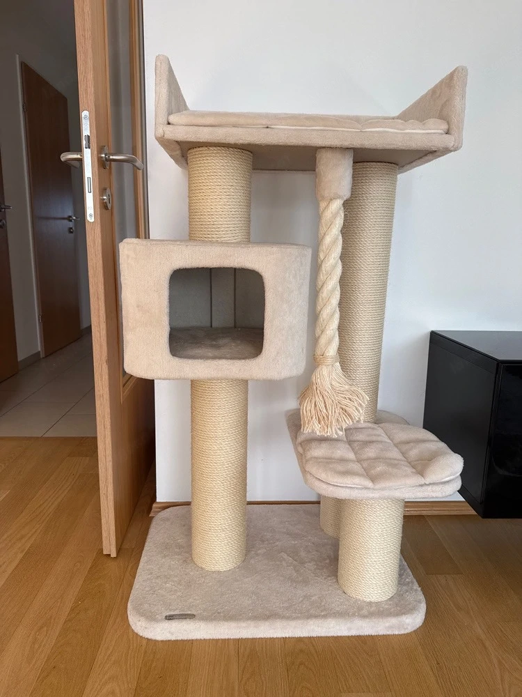Kratzbaum Katze